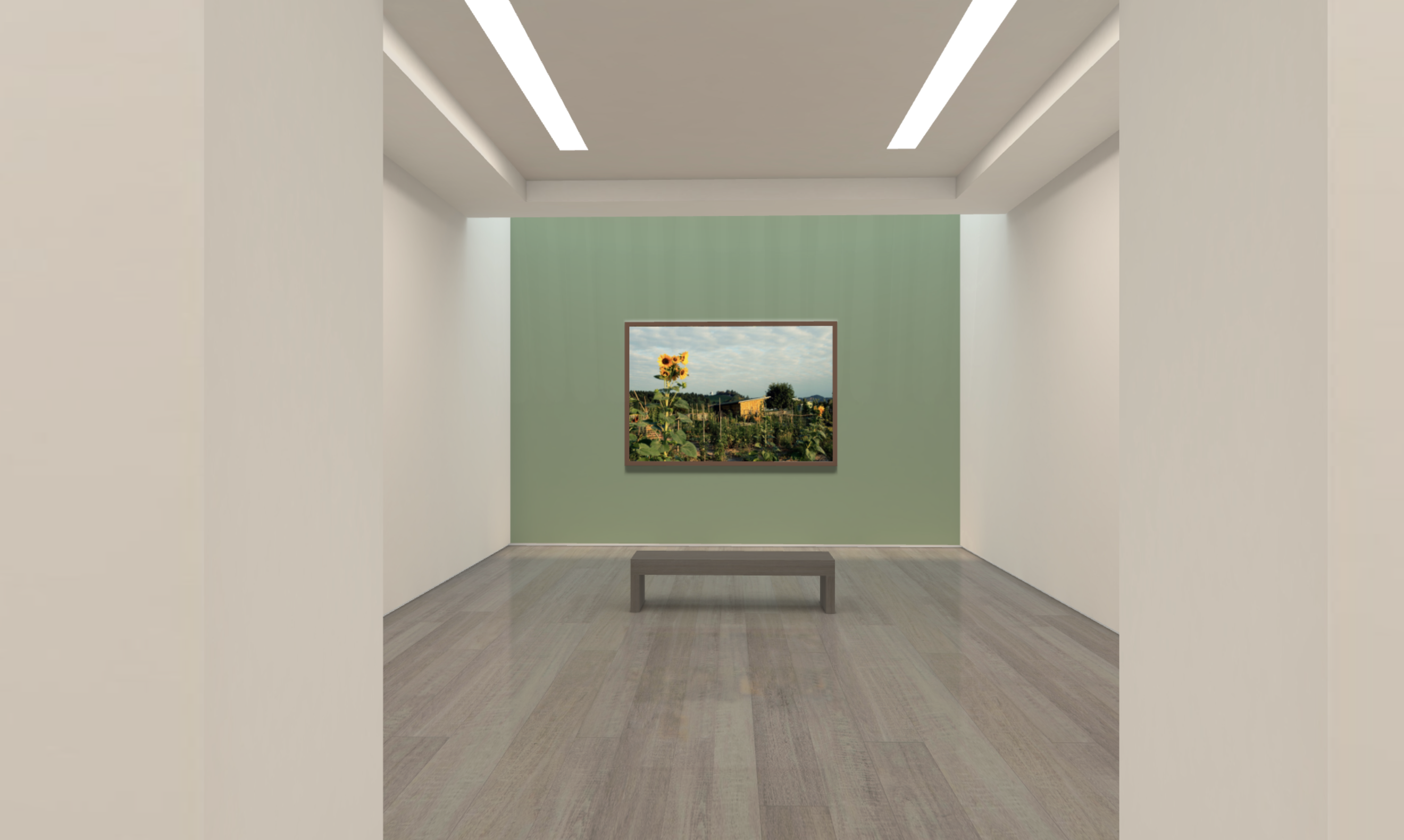 colour your gallery